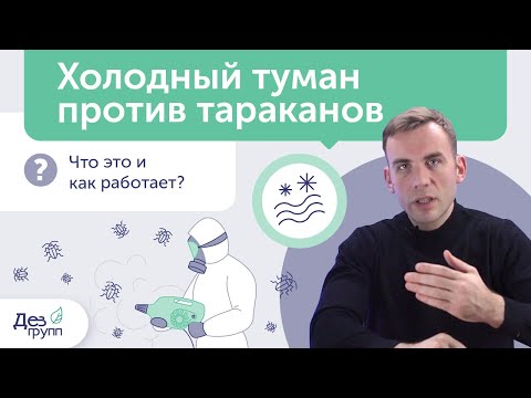 Видео: Холодный туман против тараканов: что это и как работает? | Уничтожение прусаков СЭС