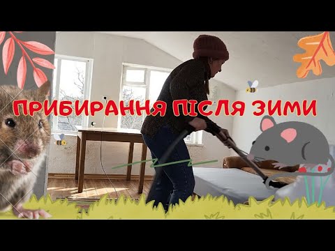 Видео: ДАЧА 2024. ПРИБИРАННЯ. СЕЗОН ВІДКРИТО!