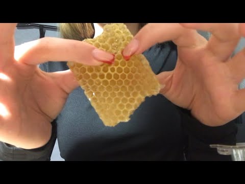 Видео: АСМР ЕМ СОТЫ🍯💛