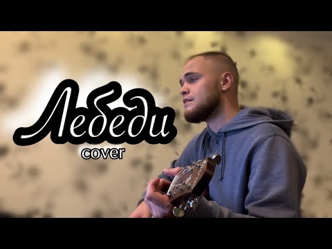 Видео: Лебеди/Cover под гитару