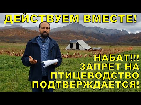 Видео: НАБАТ! Запрет на птицеводство подтверждается! ДЕЙСТВУЕМ!