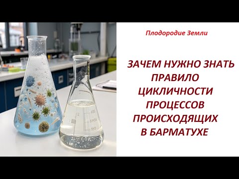 Видео: Что обязан знать каждый барматушник -ПРАВИЛА ЦИКЛИЧНОСТИ БАРМАТУХИ №728/25