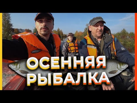 Видео: ОСЕННЯЯ РЫБАЛКА НА ПОПЛАВОК И СПИНИНГ. В ПОИСКАХ ОКУНЯ!