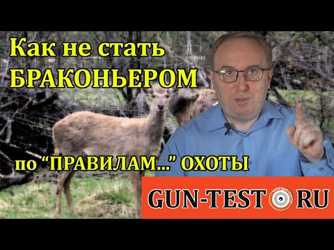 Видео: Как не стать браконьером по "Правилам..." охоты. Мнение юриста