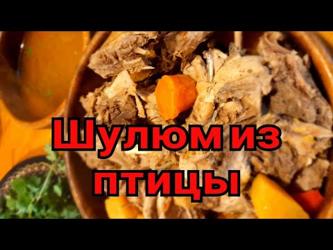 Видео: Шулюм из дикой птицы в Афганском казане,правильное питание#шулюм#казан#фазан#утка#зож#