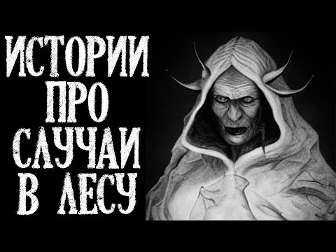 Видео: Истории про Случаи в Лесу. Страшные Истории про Лес (4в1)