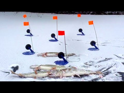 Видео: Первый лёд.  Открытие сезона на жерлицы