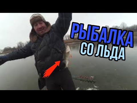 Видео: Рыбалка со льда / голодные коты атакуют