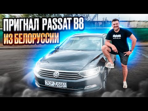 Видео: ЕДЕМ В БЕЛОРУССИЮ ЗА PASSAT B8 | ВЫГОДА 6000$