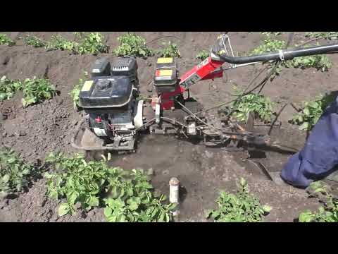Видео: Окучивание, широкие междурядья