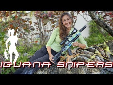 Видео: Подсчёт игуан завершён!: Iguana Snipers #139