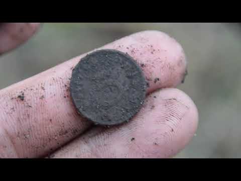 Видео: Спектра vx3  в одна частотном режиме