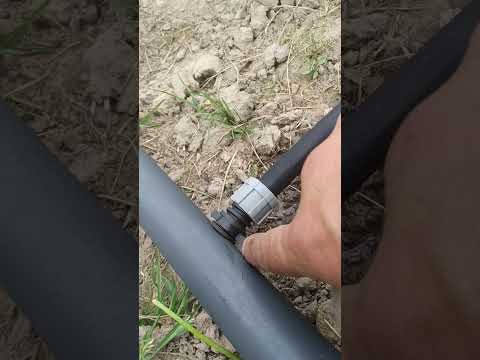 Видео: капельный полив на ЧЕСНОК!!!