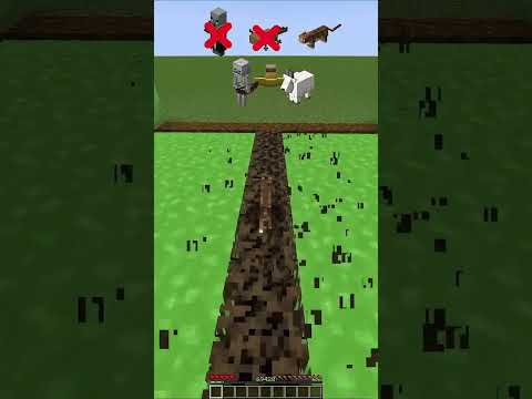 Видео: прохождение в майнкрафте #minecraft #shorts