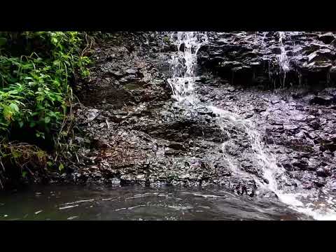 Видео: Снимите стресс и засните под шум реки и пение птиц | ASMR