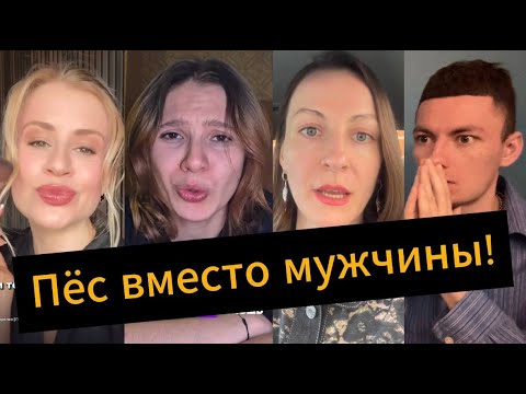 Видео: Собака вместо мужчины!