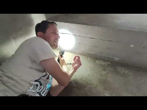 Видео: У Черной Мамбы невероятные навыки маскировки!