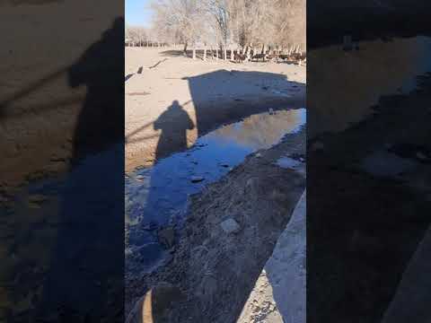 Видео: Жаңақорған ауд,Апанқақ ауылы емдік сынабы бар суы