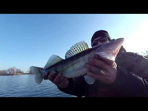 Видео: СУДАК НА КАЖДОМ ЗАБРОСЕ!!! дроп шот рулит!
