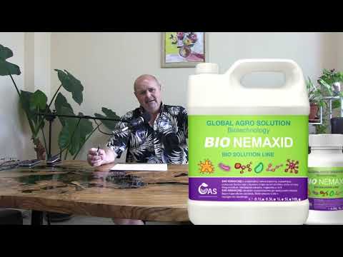 Видео: ПАРАЗИТНИ НЕМАТОДИ В ГРАДИНАТА!ПРИЗНАЦИ ЗА ТЯХНОТО ПРИСЪСТВИЕ.КАКВИ СА НАЧИНИТЕ ДА СЕ СПРАВИМ С ТЯХ?