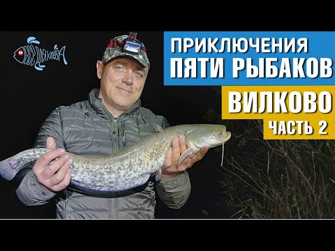 Видео: Приключения пяти рыбаков. Вилково, Дунай. Часть вторая