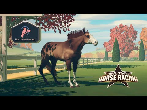 Видео: Играю в мобильную версию, разведение, скачки 🌺 Rival Stars Horse Racing