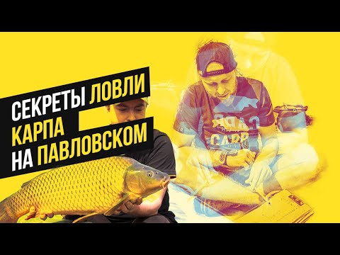 Видео: КАРПФИШИНГ НА ВОДОЕМЕ ПАВЛОВСКИЙ! РАБОЧИЕ ОСНАСТКИ И ПРИКОРМКА ДЛЯ ЛОВЛИ КАРПА! ЧАСТЬ 2