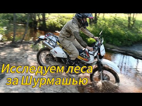Видео: Овода и начало сезона