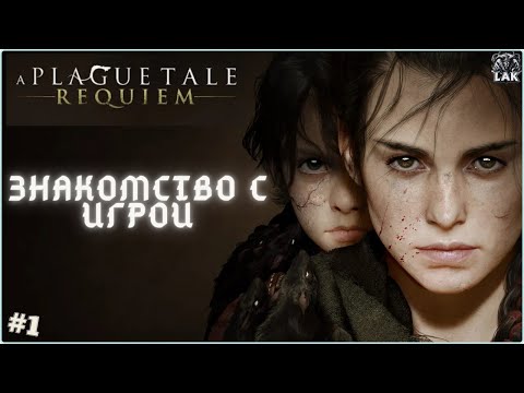 Видео: A Plague Tale: Requiem - ЗНАКОМСТВО С ИГРОЙ. Стрим №1