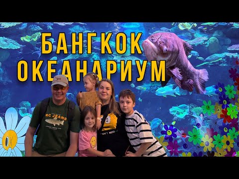 Видео: Куда пойти с детьми в БАНГКОКЕ? Океанариум SEA LIFE в Таиланде.