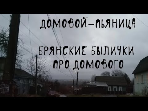 Видео: 🥃 ДОМОВОЙ-ПЬЯНИЦА | Домовые | В. Д. Глебов | Брянские былички | 111–120
