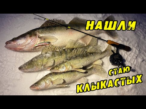 Видео: Каждый подход с УДАРОМ! Нашли стаю АКТИВНОГО Судака. Рыбалка на Судака в марте. Судак на вибы зимой