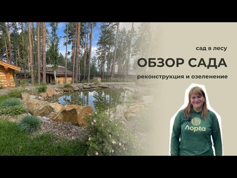 Видео: ОБЗОР САДА | сад в лесу