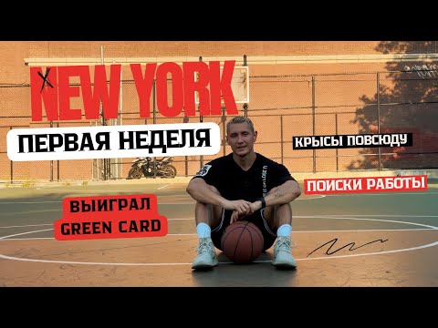 Видео: Прилетел в Нью Йорк. Green Card. Все как в кино. Крысы и сумасшедшие.