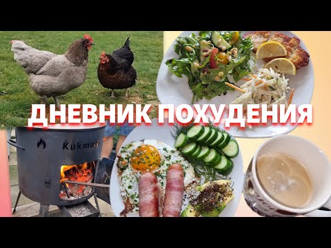 Видео: 25.08.2025 Отчёт питания за 3 дня