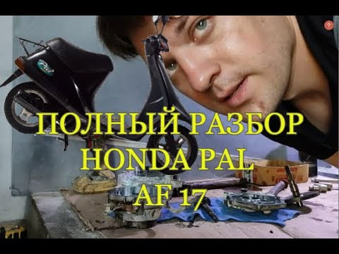 Видео: ПОЛНЫЙ РАЗБОР HONDA PAL AF17