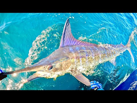 Видео: Мой ПЕРВЫЙ!!! | 20 минут троллинга, а потом МАРЛИН ВПЕРЁД!