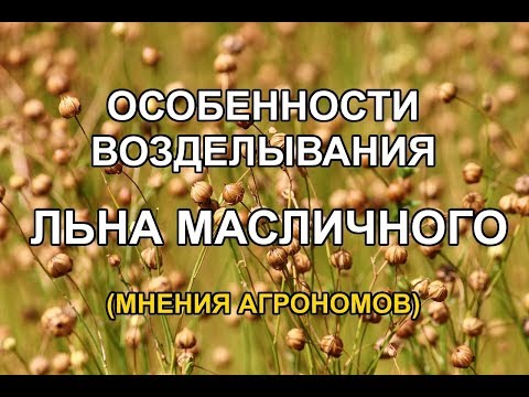 Видео: Лен масличный - технология возделывания