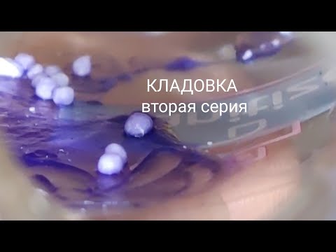 Видео: КЛАДОВКА #2