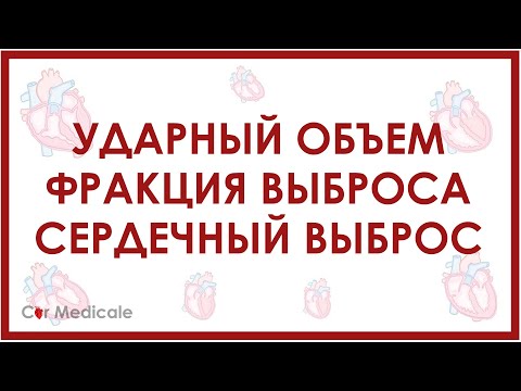 Видео: Ударный объем, фракция выброса, сердечный выброс - физиология сердца