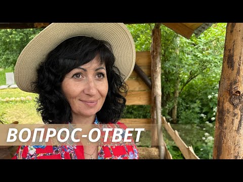 Видео: Отвечаю на вопросы в прямом эфире