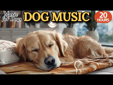 Видео: 24 часа успока-ивающей музыки для собак🐶💖Музыка для глубокого сна собак🦮🎵Для щенков и взрослых