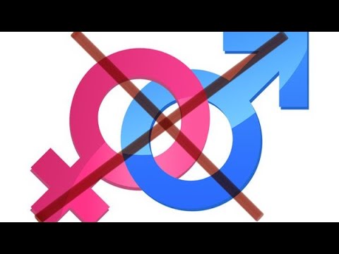 Видео: Кормление стерил/кастрированных: чем нельзя принебречь, а что не так важно?