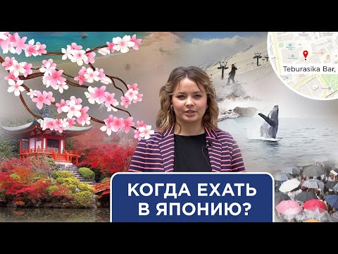 Видео: Когда ехать в Японию? Разбор по месяцам