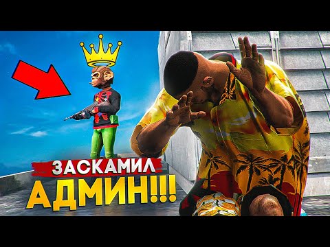 Видео: АДМИНИСТРАТОР ЗАСКАМИЛ НА ДЕНЬГИ!!! | GTA 5 RP MAJESTIC