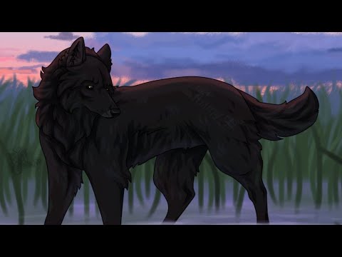 Видео: 23 марта 2024 г.