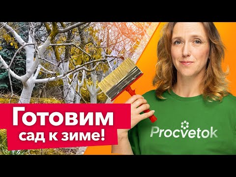 Видео: НЕ ПРОПУСТИТЕ! 7 САМЫХ ВАЖНЫХ РАБОТ В САДУ перед зимой, о которых нельзя забывать!