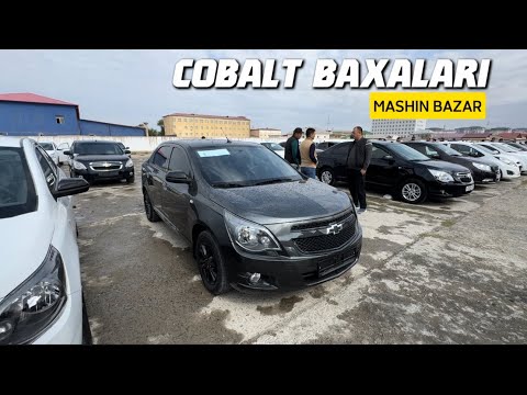 Видео: КОБАЛЬТ БАХАЛАРЫ 2025 