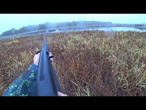 Видео: СЕВЕРНАЯ УТКА ПОШЛА. Охота в Республике Коми на утку. Ружье Franchi Affinity One