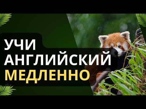 Видео: РАССЛАБЬСЯ и учи английский МЕДЛЕННО